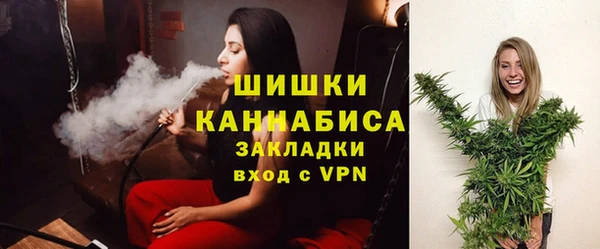 МДПВ Михайлов