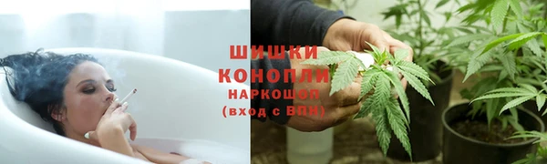 гашик Михайловск