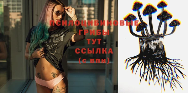 МДПВ Михайлов