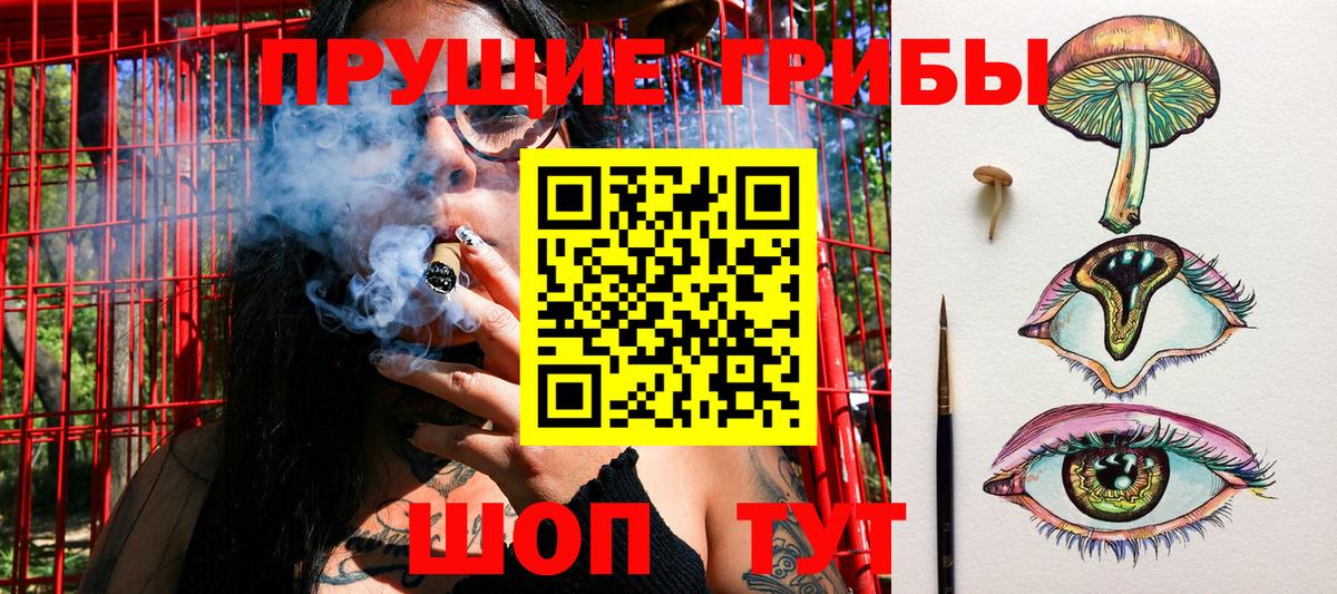 Псилоцибиновые грибы Psilocybine cubensis  Псилоцибиновые грибы ЛСД  Мурино 