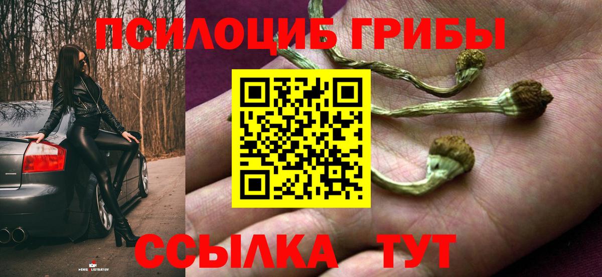 Псилоцибиновые грибы мицелий  Вход с VPN  Мурино  Псилоцибиновые грибы MAGIC MUSHROOMS 