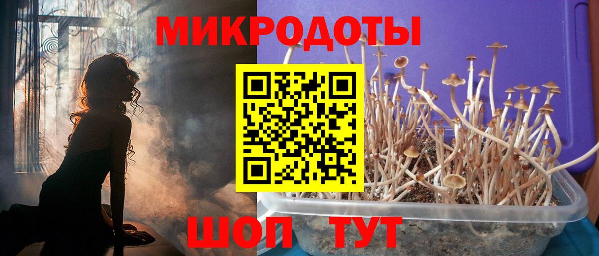 Меф мяу мяу Мурино